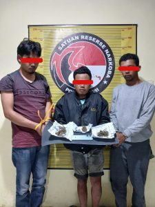 Ringkus Kurir Hingga Pemasok Ganja, Sat Narkoba Polres Dairi Komitmen Putus Rantai Narkoba di Sidikalang